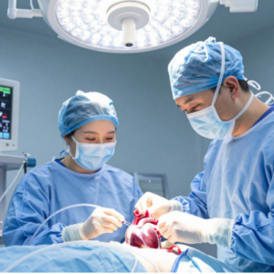 Surgical Instruments